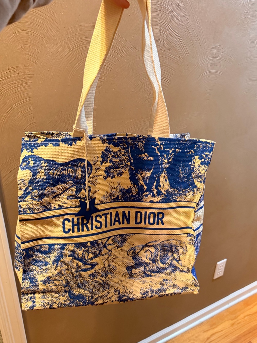 Dior tan & Blue Tote Bag